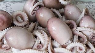 带你吃瓜大章鱼图片