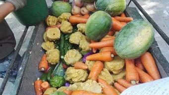 郑州吃瓜最新事,揭秘幕后真相与网络热议焦点