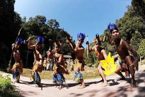 金光湖吃瓜大会,吃瓜大会盛况空前，欢乐无限！