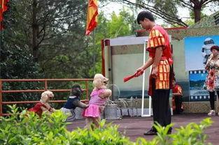 金光湖吃瓜大会,吃瓜大会盛况空前，欢乐无限！