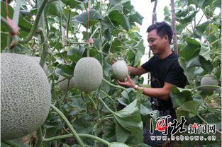 吃瓜路径,跟随吃瓜群众探寻明星幕后故事