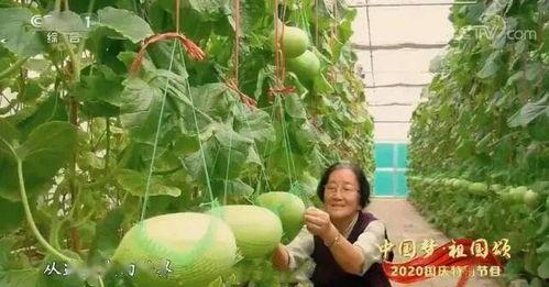 广东最新吃瓜事件,广东最新“瓜田”事件，揭秘背后真相