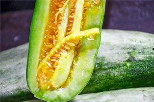 坎瓜怎样吃最好