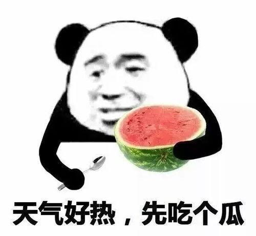大头带你吃瓜