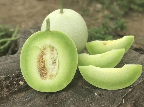 不吃瓜吃瓜的甜瓜人,品味不凡，瓜中寻味