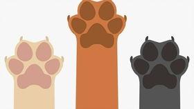 吃瓜凑热闹素材,揭秘娱乐圈那些吃瓜群众的凑热闹故事