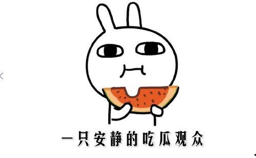 抖音吃的瓜,揭秘网红美食背后的故事