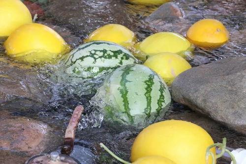 抖音吃的瓜,揭秘网红美食背后的故事