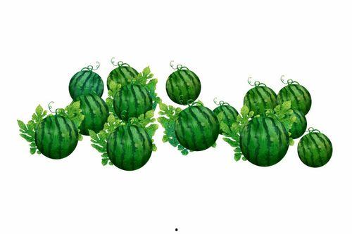 阿蔡吃瓜,揭秘娱乐圈幕后故事