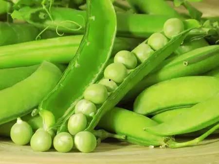 种瓜吃瓜 种豆吃豆,种瓜得瓜，种豆得豆的智慧启示