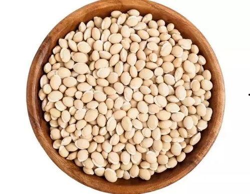 种瓜吃瓜 种豆吃豆,种瓜得瓜，种豆得豆的智慧启示