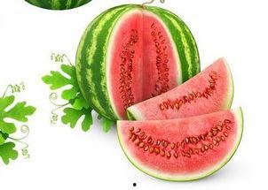 冰星吃瓜,一场星际吃瓜盛宴