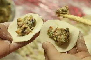 信阳农林吃瓜,瓜果飘香，田园风光尽收眼底