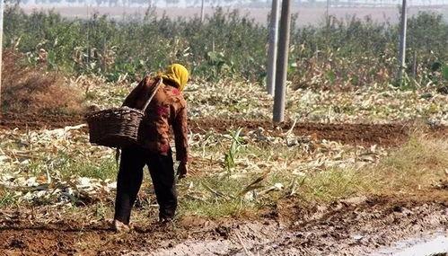 村口老太太吃瓜,闲话家常，品味人间烟火