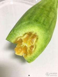 吃瓜甜,揭秘甜蜜背后的秘密