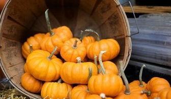 角瓜能和南瓜一起吃么