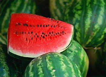 晚上吃矮瓜茄瓜好吗,健康益处与注意事项