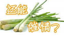 奇葩美食带你吃瓜视频,跟随“奇葩美食带你吃瓜”视频，开启味蕾冒险之旅