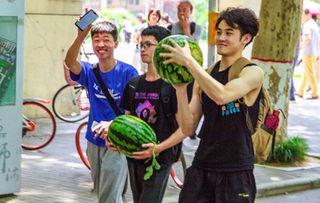 最新吃瓜事件学生,揭秘最新吃瓜事件背后的真相