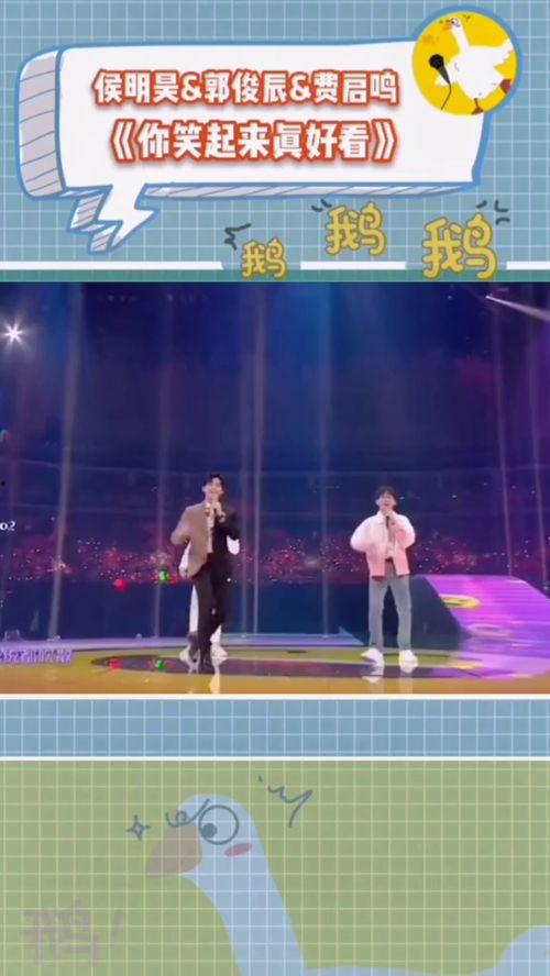 综艺吃瓜鹅,揭秘娱乐圈幕后故事