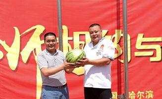 哈尔滨吃瓜群众视频,揭秘冰城生活百态