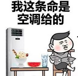 吃瓜差点吃到自己家,险些误食自家美食
