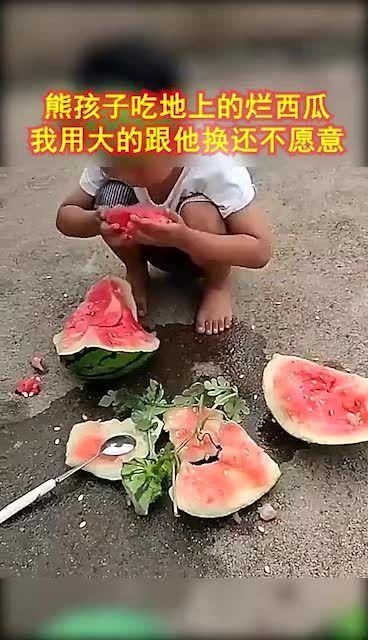 吃的都是烂瓜