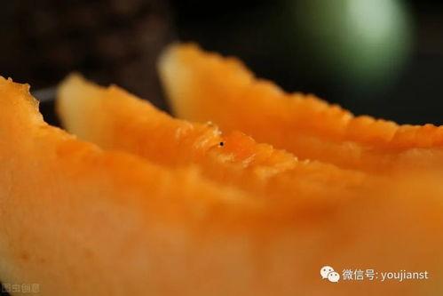 认真吃瓜壁纸图片大全