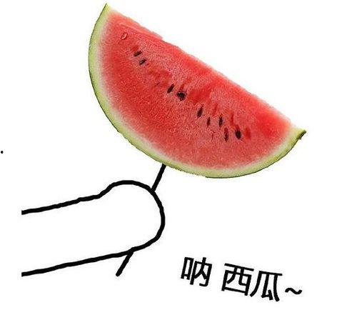 留学圈吃瓜深圳,深圳，瓜田里的留学新地标